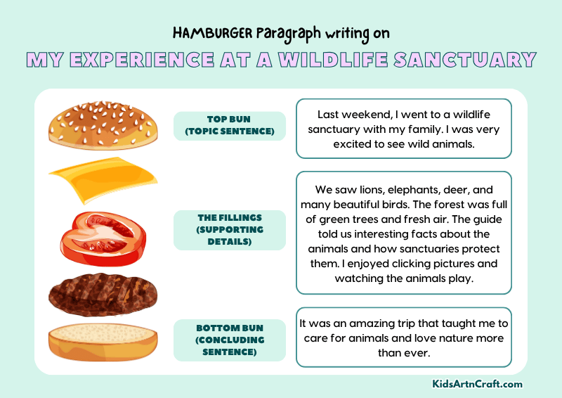 My Experience at a Wildlife Sanctuary Paragraph Writing with Hamburger Method