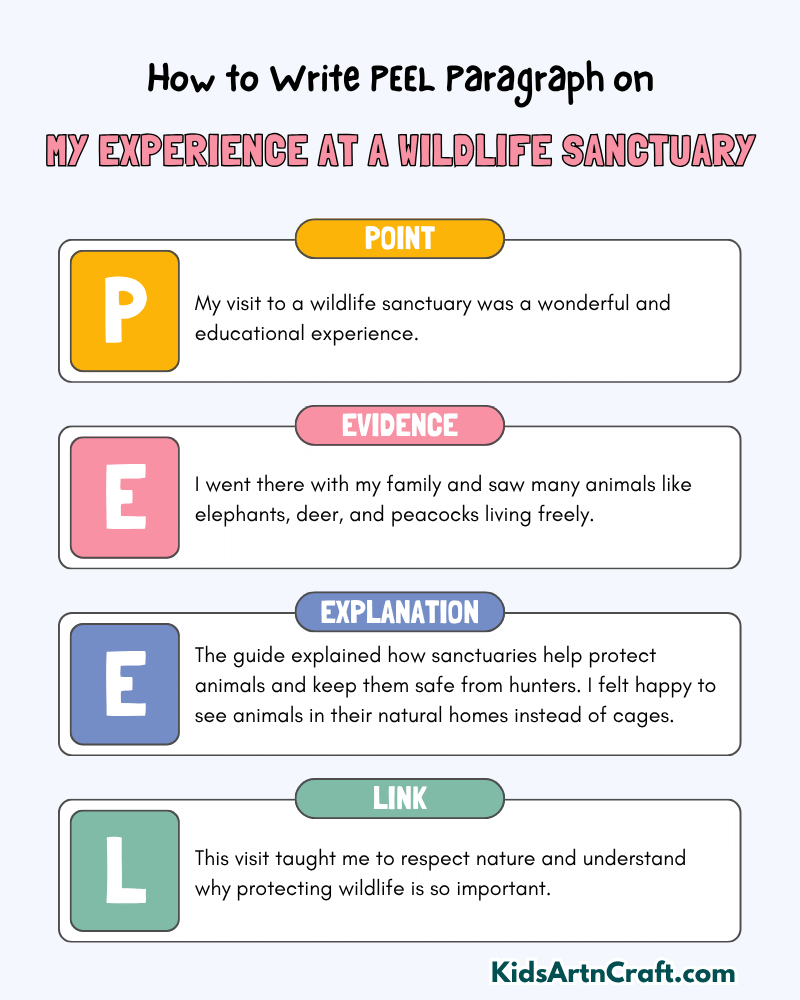 My Experience at a Wildlife Sanctuary Paragraph Writing with PEEL Method