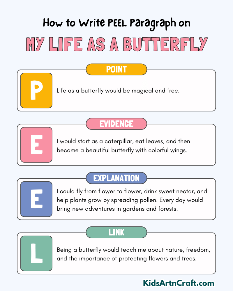 My Life as a Butterfly Paragraph Writing with PEEL Method