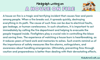 Paragraph on A House on Fire