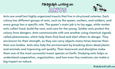 Paragraph on Ants