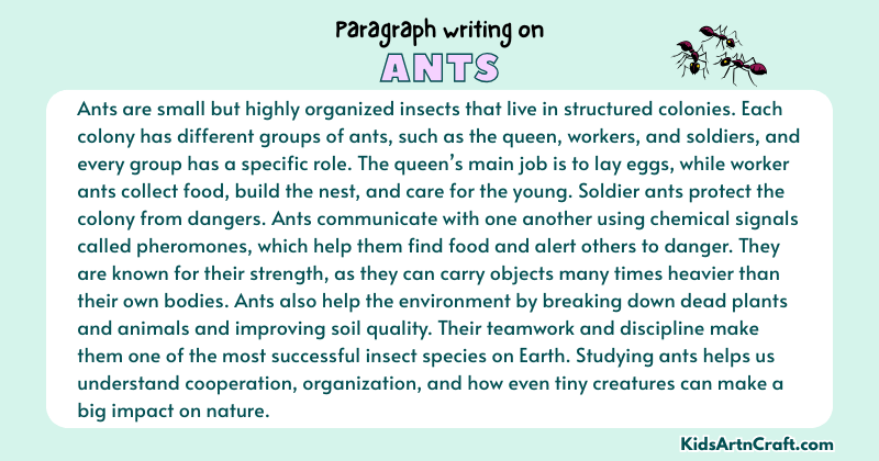 Paragraph on Ants