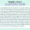 Paragraph on Aquatic Life