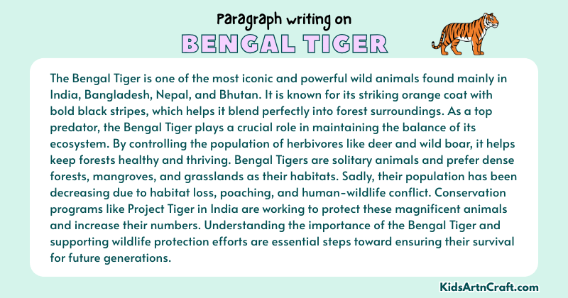 Expository Paragraph on Bengal Tiger (Explains with Facts)