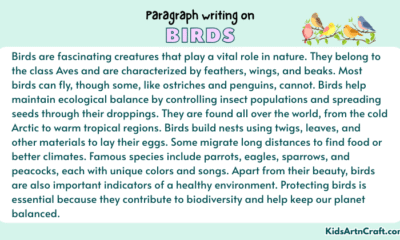 Paragraph on Birds