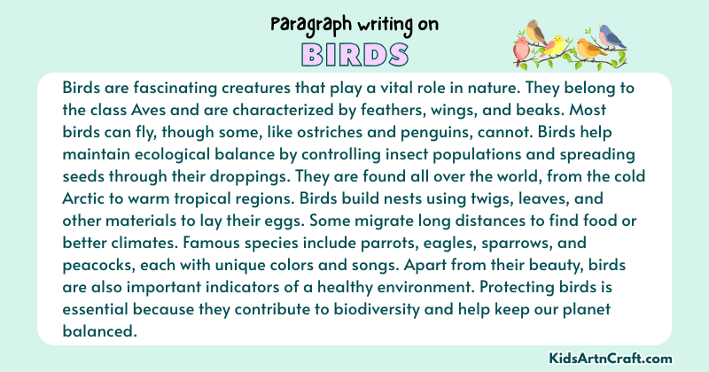 Paragraph on Birds