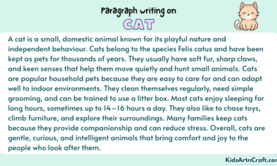 Paragraph On Cat