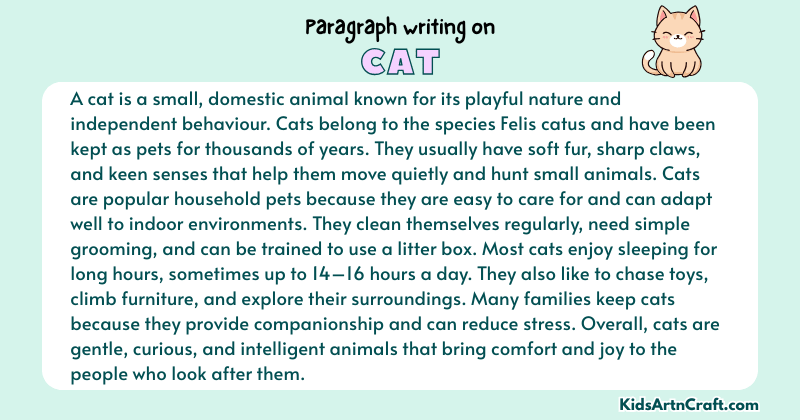 Paragraph On Cat
