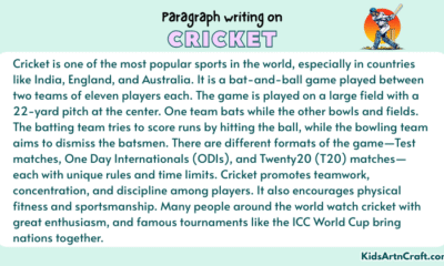 Paragraph on Cricket