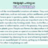 Paragraph on Flowers