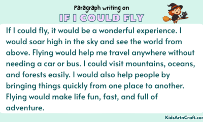 Paragraph on If I Could Fly