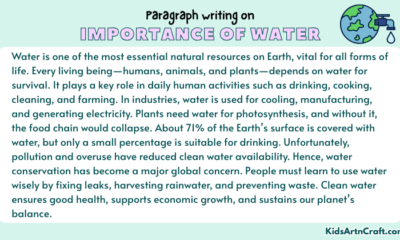 Paragraph on Importance of Water