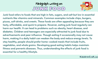 Paragraph on Junk Food
