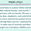 Paragraph on My Experience at a Wildlife Sanctuary
