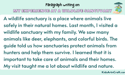 Paragraph on My Experience at a Wildlife Sanctuary