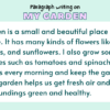 Paragraph on My Garden