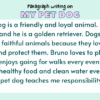 Paragraph on My Pet Dog