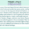 Paragraph on Peacock