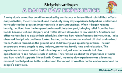Paragraph on A Rainy Day Experience