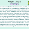 Paragraph on River