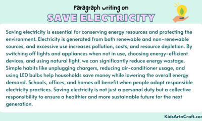 Paragraphs On Save Electricity