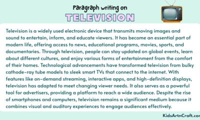 Paragraph on Television