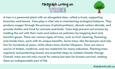Paragraph on Tree
