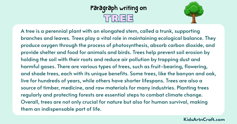 Paragraph on Tree
