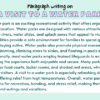 Paragraph on A Visit to a Water Park