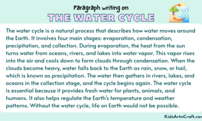 Paragraph on The Water Cycle