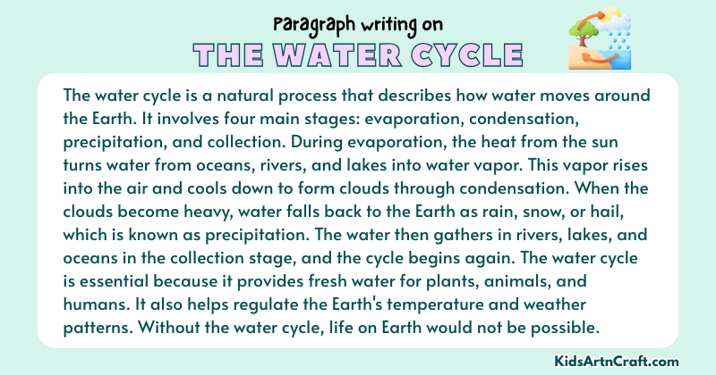 Paragraph on The Water Cycle
