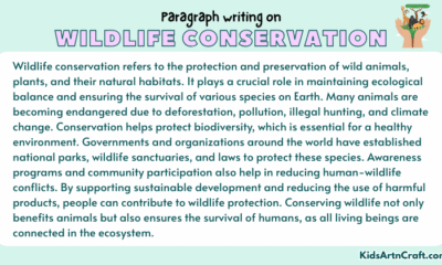 Paragraph on Wildlife Conservation