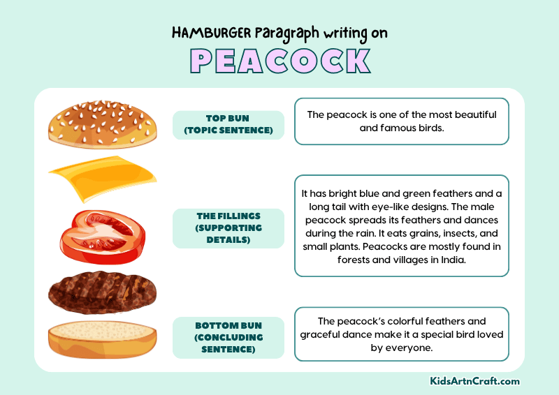 Peacock Paragraph Writing with Hamburger Method