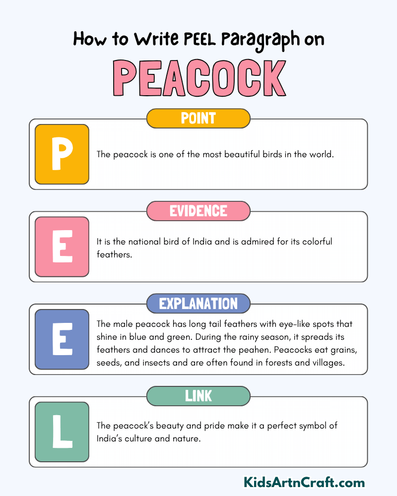 Peacock Paragraph Writing with PEEL Method