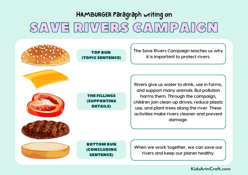 Save Rivers Campaign Paragraph Writing with Hamburger Method
