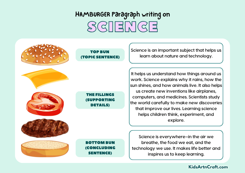 Science Paragraph Writing with Hamburger Method
