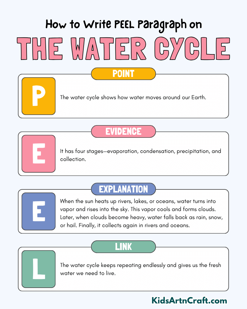 The Water Cycle Paragraph Writing with PEEL Method