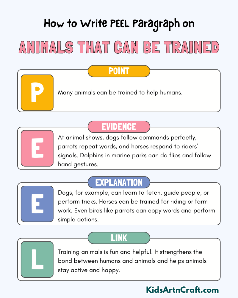 Animals That Can Be Trained Paragraph Writing with PEEL Method