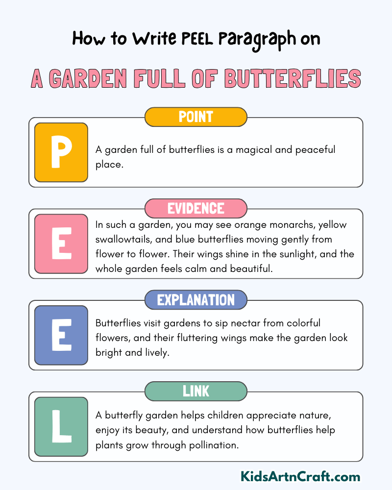 A Garden Full Of Butterflies Paragraph Writing with PEEL Method