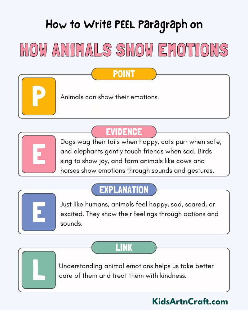 How Animals Show Emotions Paragraph Writing with PEEL Method