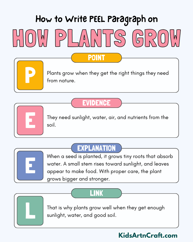How Plants Grow Paragraph Writing with PEEL Method