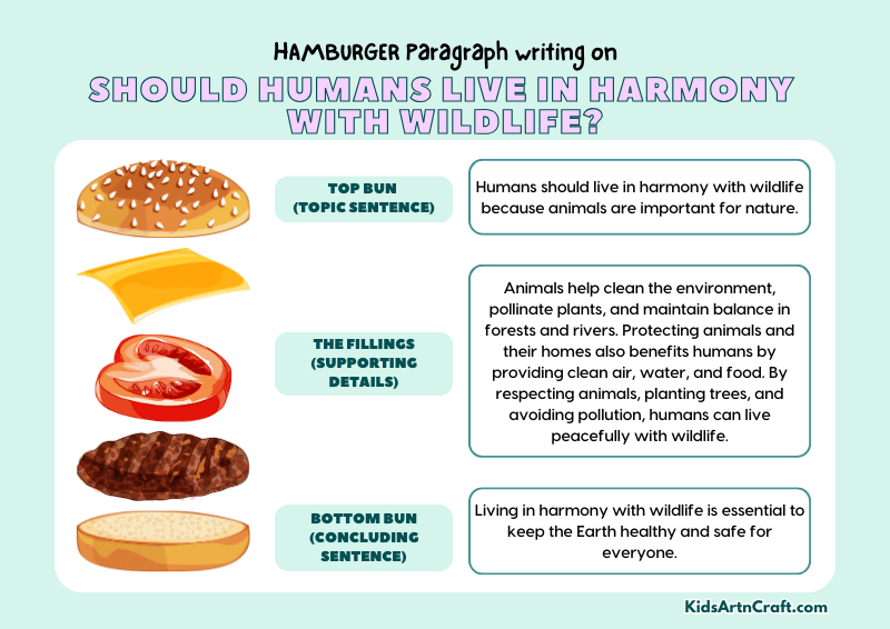 Should Humans Live In Harmony With Wildlife? Paragraph Writing with Hamburger Method