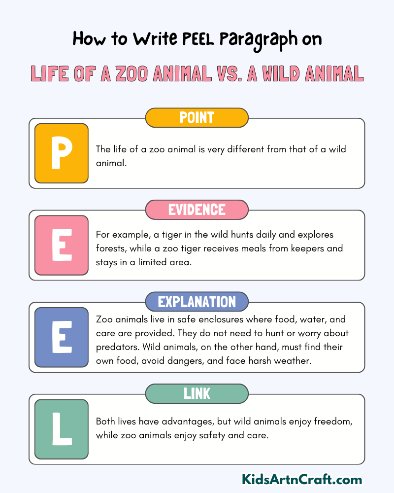 Life of a Zoo Animal vs. a Wild Animal Paragraph Writing with PEEL Method