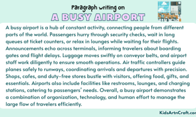 Paragraph on A Busy Airport