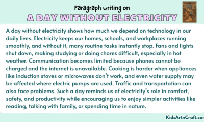 Paragraph on A Day Without Electricity