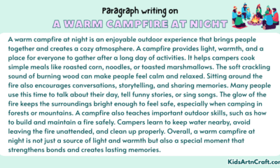 Paragraph on A Warm Campfire At Night