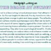 Paragraph On The Beach At Sunset