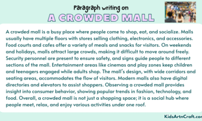 Paragraph on A Crowded Mall