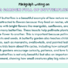 Paragraph on A Garden Full Of Butterflies