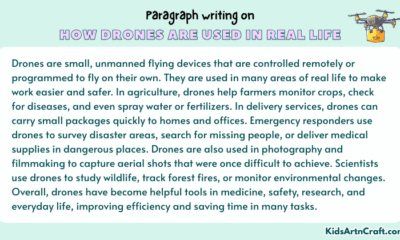 Paragraph on How Drones Are Used In Real Life